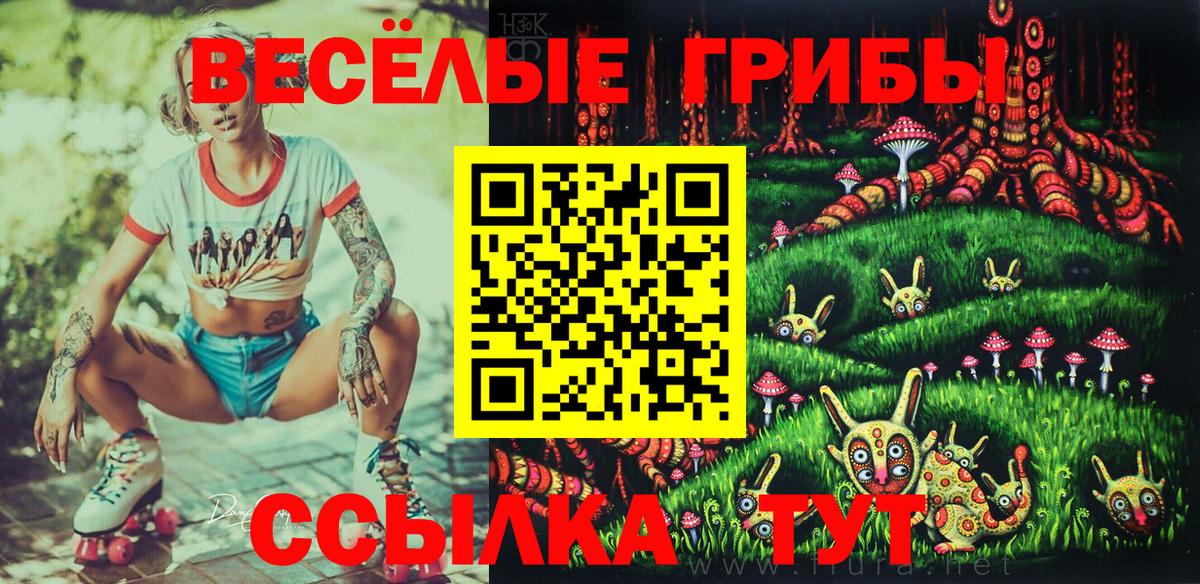 Псилоцибиновые грибы мицелий Избербаш